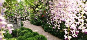 XAVIER DE CHIRAC -  - Jardin Paysager