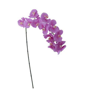 Pomax - orchidée - Fleur Artificielle