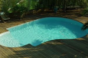 Silver Pool -  - Piscine Traditionnelle