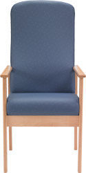 Teal Furniture -  - Chaise
