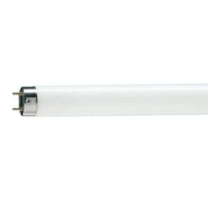 Philips - tube fluorescent 1381445 - Tube Fluorescent