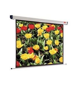  Projection screen