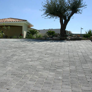 Outdoor paving stone