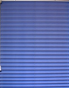 Variance Store Pleated blind