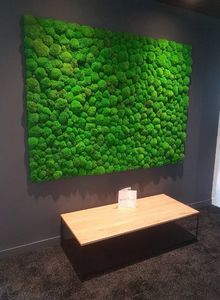 Vegetal  Indoor - mousse - Grass Covered Wall