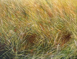 MANUEL CANCEL - herbias - Contemporary Painting
