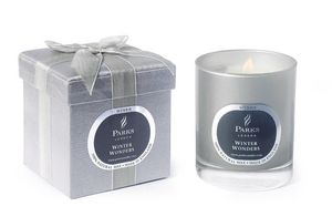 PARKS - winter wonders- - Scented Candle