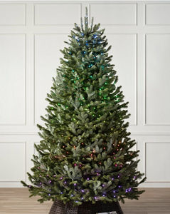 BALSAM HILL - fraser - Artificial Christmas Tree