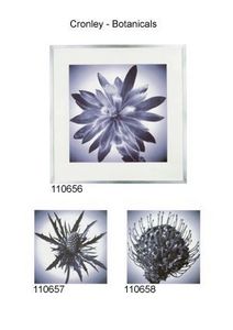 Artefact - cronley - botanicals - Photography