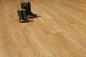 Xylo Flooring - venice oak - Wooden Floor