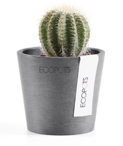 ECOPOTS -  - Flower Pot