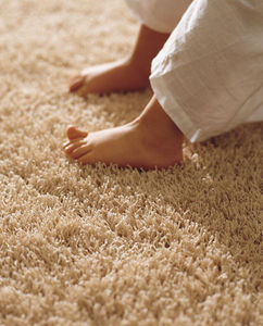 KP - hippy - Fitted Carpet