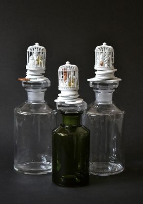 ANNA BOROWSKI - Perfume bottle-ANNA BOROWSKI