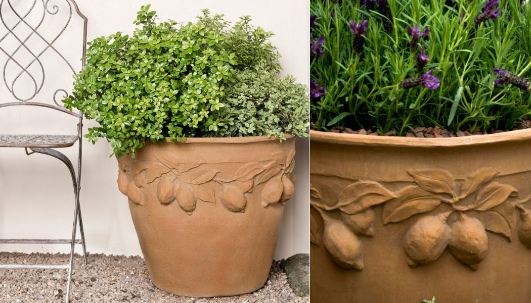 CAPITAL GARDEN PRODUCTS Vaso da giardino Vasi da giardino Giardino Vasi  | 