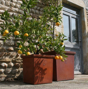 L'orangerie - forme carrée - Vaso Per Albero