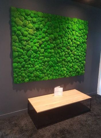 Vegetal  Indoor - Muro vegetale-Vegetal  Indoor-Mousse